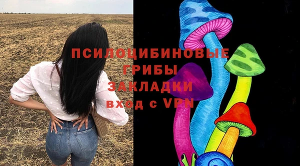 хмурый Алзамай